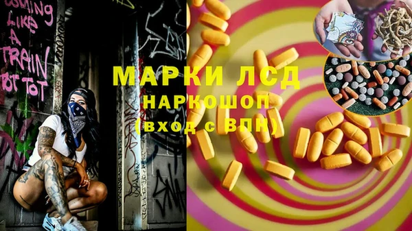 хмурый Алзамай
