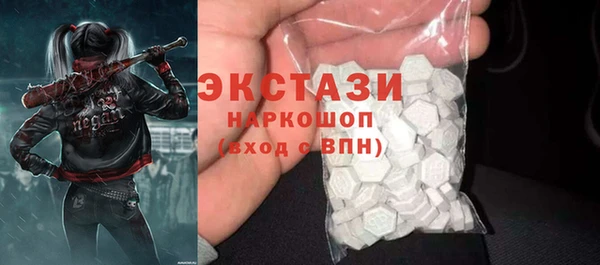 гашик Няндома