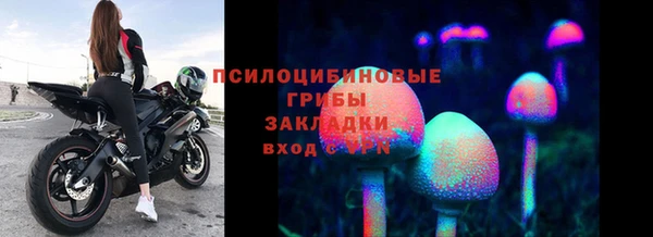 хмурый Алзамай