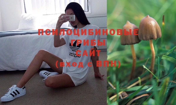 ешки Алексеевка